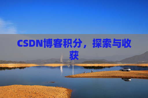 CSDN博客积分，探索与收获